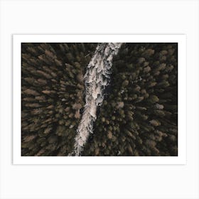 Raging River In Forest Art Print