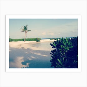 Beach With Palm Trees maldives Art Print
