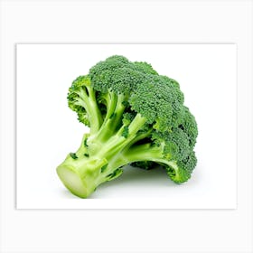 Broccoli 1 Art Print
