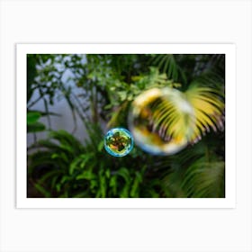 Soap Bubbles Fly In The Garden Art Print
