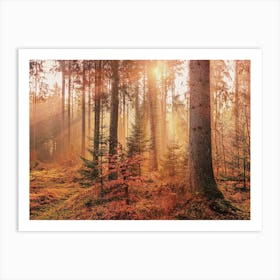 Orange Autumn Forest Art Print