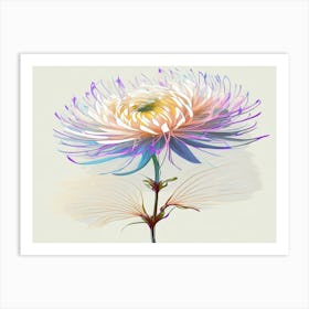 Chrysanthemum 6 Art Print