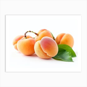 Apricots On White Background 2 Art Print