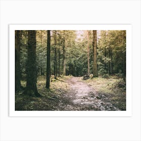 Mysterious Forest Path Art Print