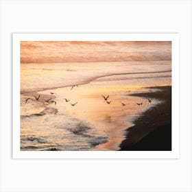 Seagulls At Sunset At The Beach Art Print