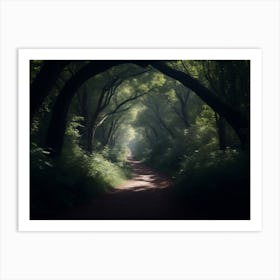 Beautiful Pathway Through The Woods Art Print