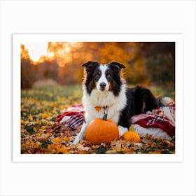 Autumnal Backdrop Transitioning Into Winter An American Border Collie Sits On A Bed Of Fallen Leave (1) 2 Art Print