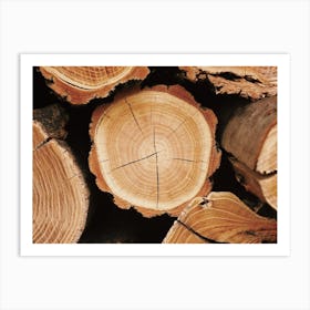 Log Pile Art Print