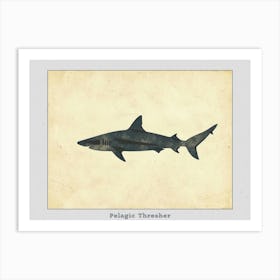 Pelagic Thresher Shark Grey Silhouette 3 Poster Art Print