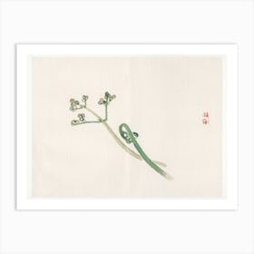 Blossom, Kōno Bairei Art Print