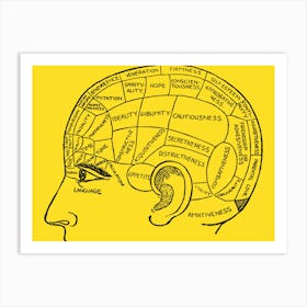 Human Brain Art Print