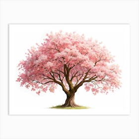 Pink Cherry Blossom Tree Isolated On White Art Print