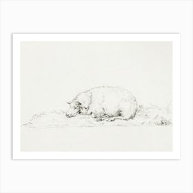Lying Sheep, Jean Bernard Art Print