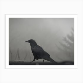 Crow In The Fog Art Print