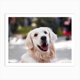 Golden Retriever Art Print