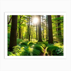 Ferns In The Forest Art Print