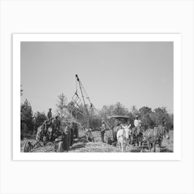 Untitled Photo, Possibly Related To Loading Sugarcane Near New Iberia, Louisiana By Russell Lee Art Print