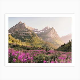 Mountain Wildflowers Art Print