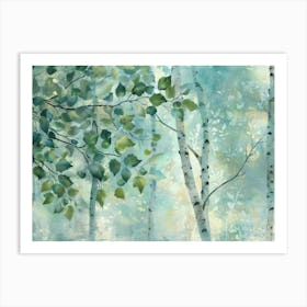 Birch Trees 36 Art Print