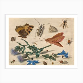 Butterflies, Moths And Insects With Sprays Of Creeping Thistle And Borage, Jan Van Kessel The Elder Art Print