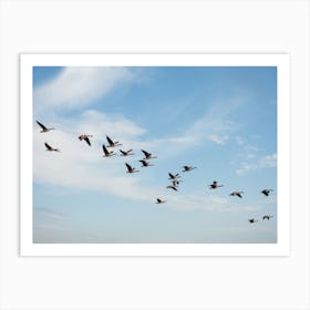 Migrating Geese Art Print