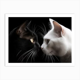 Picture Of Two Cats 1 1 4x3 Art Print