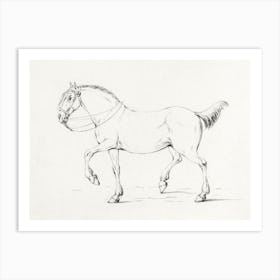 Stepping Horse, Jean Bernard Art Print