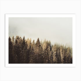 Pine Forest Landscape Art Print