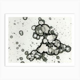 Abstract Gray Spot A Small Puppy Art Print