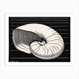 Shell, Julie De Graag Art Print