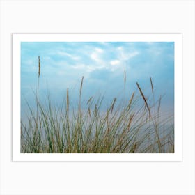 Marram Grass Art Print