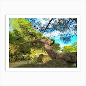 Tree In The Park 20210801 211ppub Art Print