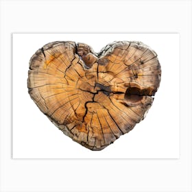 Heart Trunk Tree Wood Nature Forest Art Print