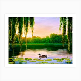 Duck In The Pond Art Print