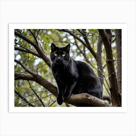 Big Black Kitty Art Print