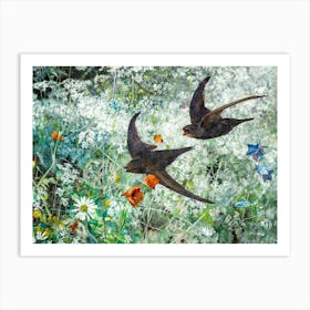 Swifts 1886 Antique Art (Common Swift) Birds and Wildflowers by Swedish Painter Bruno Liljefors | HD Remastered Immaculate Art Print