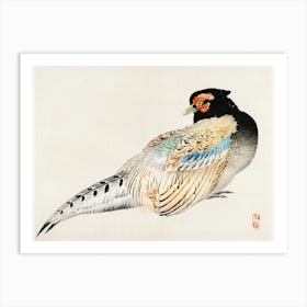 Peregrine Falcon, Kōno Bairei Art Print