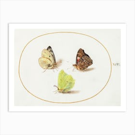 Common Brimstone, Red Admiral, And White Butterflies (1575–1580), Joris Hoefnagel Art Print