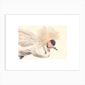 Crowned Crane Art Print