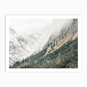 Forest Climbing Mountain Art Print