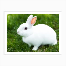 White Rabbit On Grass Art Print