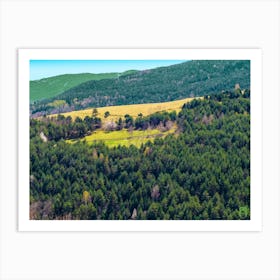 Aerial View Of A Forest Art Print