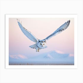 White Snow Owl Yellow Eyes In Flight Above Pristine Snow Early Morning Ambiance White Snow Cappe Art Print