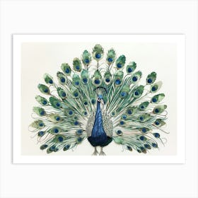 Peacock 21 Art Print