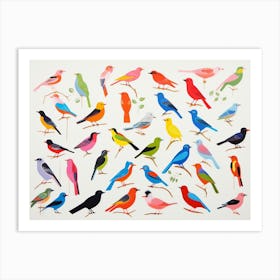 Bird Watching 4 Art Print