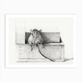 Mouse (1821), Jean Bernard Art Print