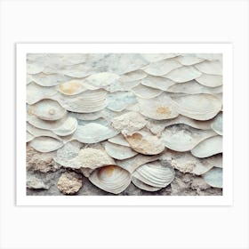 Sea Shell Detail No 6 Art Print