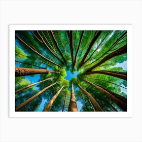 Tree In The Forest Art Print