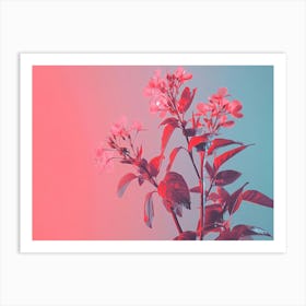 Pink Flowers On A Pink Background Art Print