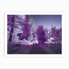 Purple Forest Art Print